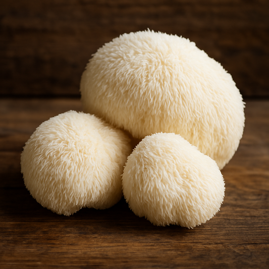 Fresh Lion's Mane Mushrooms
